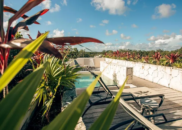 Vida Boho Apart 6 With Special Fee To Access Hotel Bardo